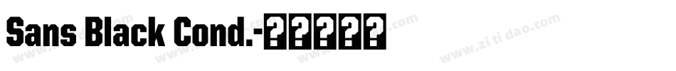 Sans Black Cond.字体转换